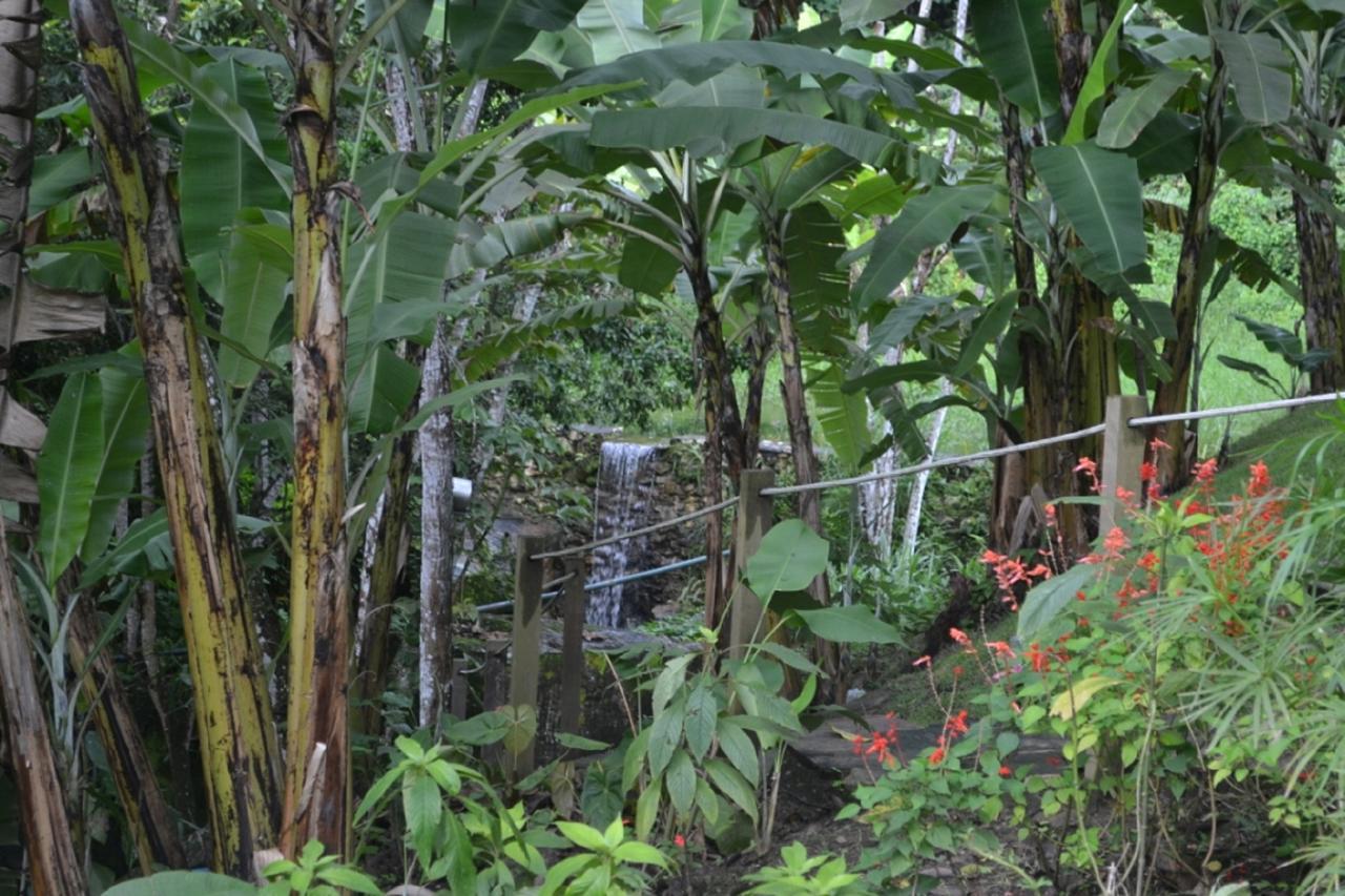 Sitio Alto da Montanha - você em paz com a natureza Vila Pacoti Exterior foto