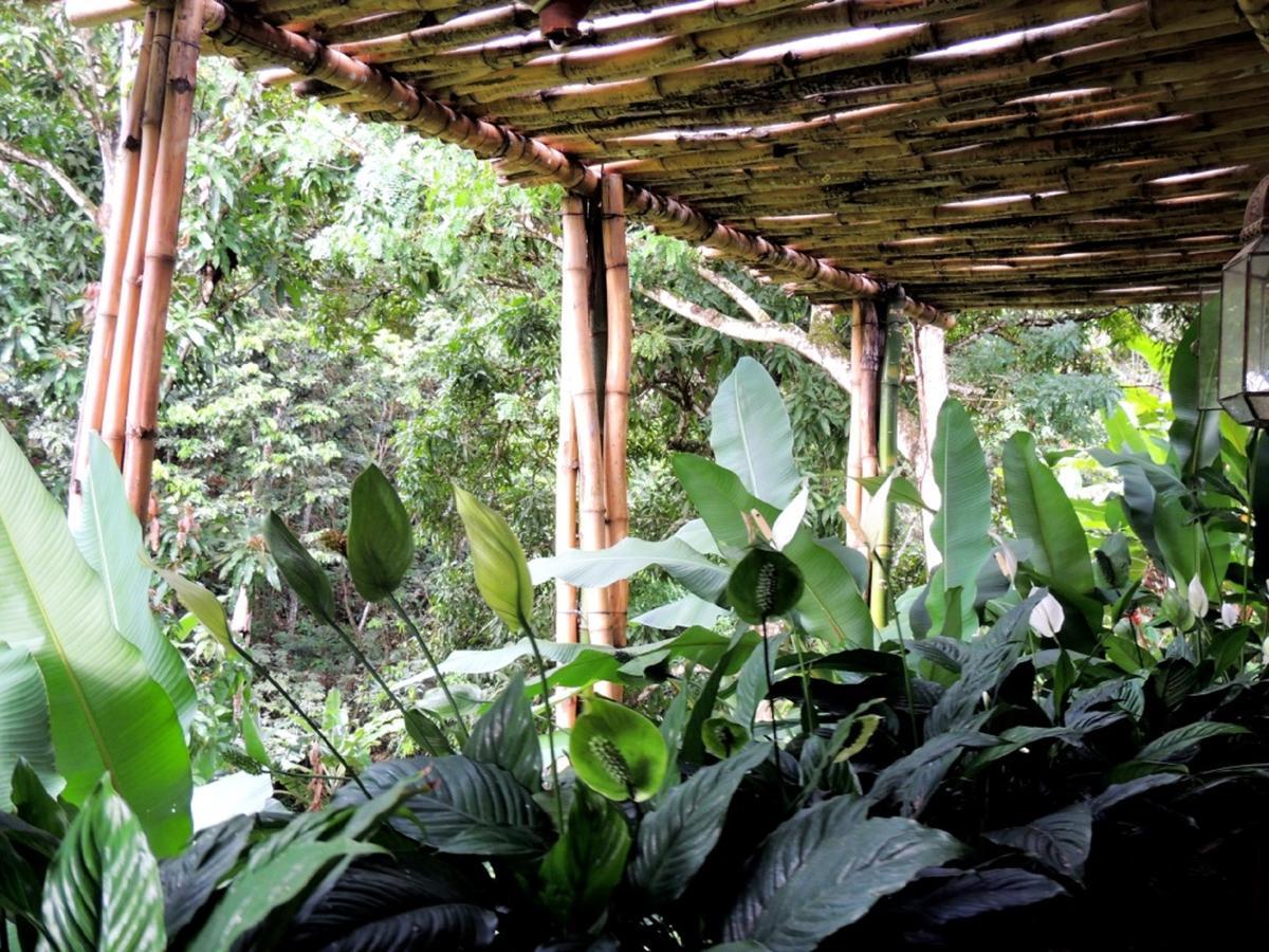 Sitio Alto da Montanha - você em paz com a natureza Vila Pacoti Exterior foto