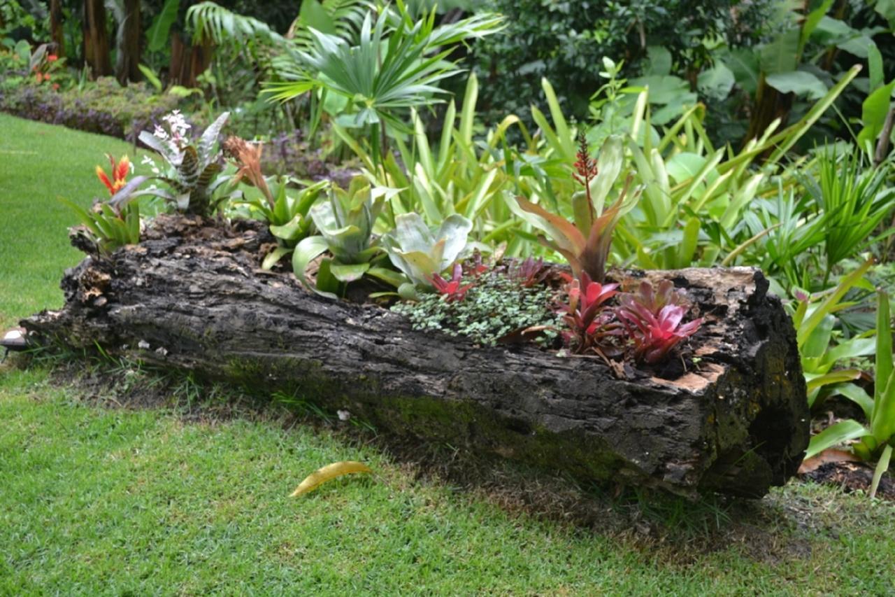 Sitio Alto da Montanha - você em paz com a natureza Pacoti Exterior foto