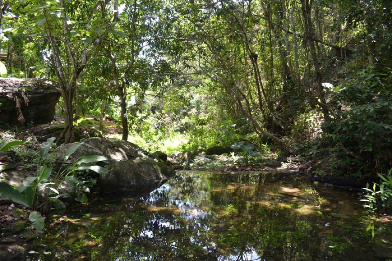 Sitio Alto da Montanha - você em paz com a natureza Vila Pacoti Exterior foto