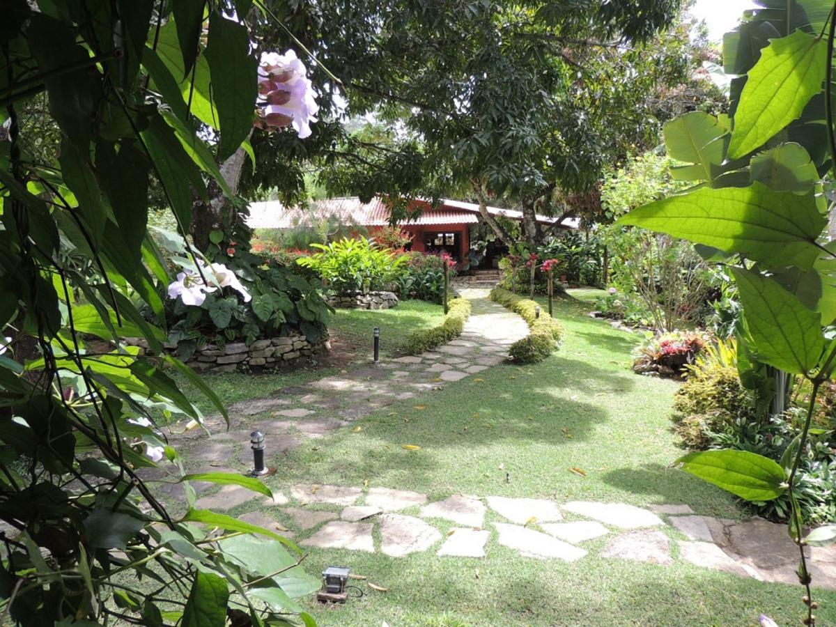 Sitio Alto da Montanha - você em paz com a natureza Pacoti Exterior foto
