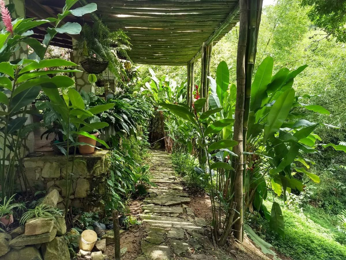 Sitio Alto da Montanha - você em paz com a natureza Pacoti Exterior foto